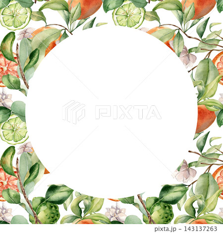 Watercolor citrus fruit and leafy branches forme circle border isolated. Botanical backdrop hand painted for template summer frame. Fresh fruit illustration for packaging or label with copy space. Watercolor citrus fruit and leafy branches forme circle border isolated. Botanical backdrop hand painted for template summer frame. Fresh fruit illustration for packaging or label with copy space. 143137263