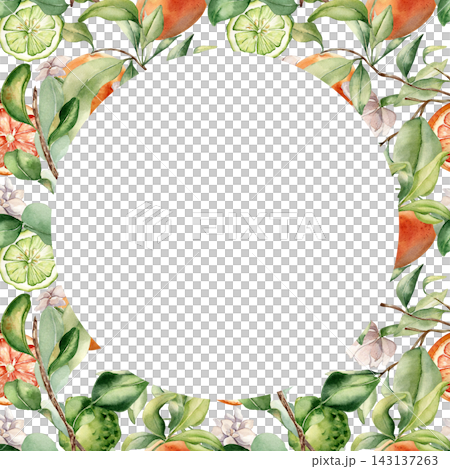 Watercolor citrus fruit and leafy branches forme circle border isolated. Botanical backdrop hand painted for template summer frame. Fresh fruit illustration for packaging or label with copy space. Watercolor citrus fruit and leafy branches forme circle border isolated. Botanical backdrop hand painted for template summer frame. Fresh fruit illustration for packaging or label with copy space. 143137263