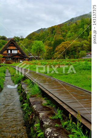 世界遺産・白川郷 世界遺産・白川郷 143137375