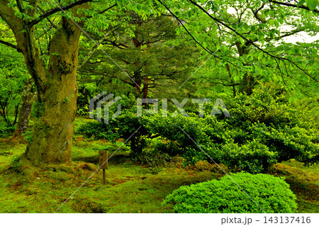 金沢・兼六園 金沢・兼六園 143137416