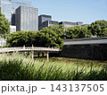 皇居の堀端に広がる静かな水辺とビルの風景 143137505
