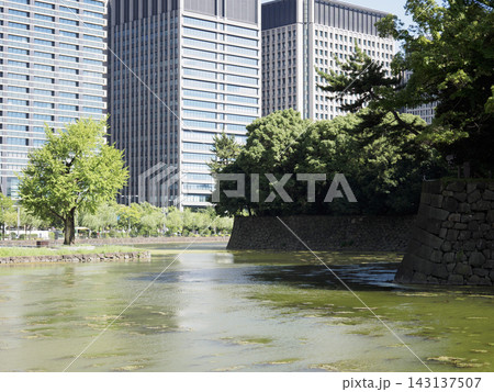皇居の堀端に広がる静かな水辺とビルの風景 143137507