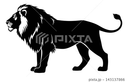 vector design of lion and lion symbol vector design of lion and lion symbol 143137866