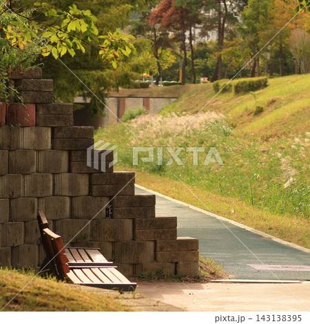 Park Walking Path Park Walking Path 143138395