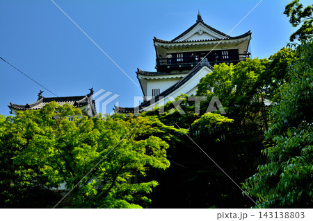 日本100名城・岡崎城 143138803