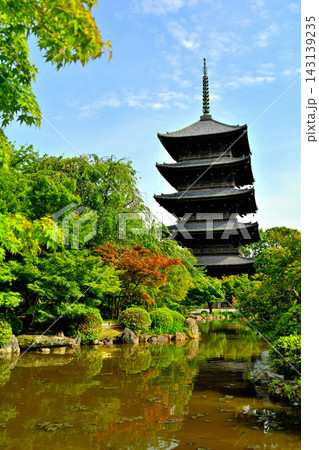 京都・東寺 京都・東寺 143139235
