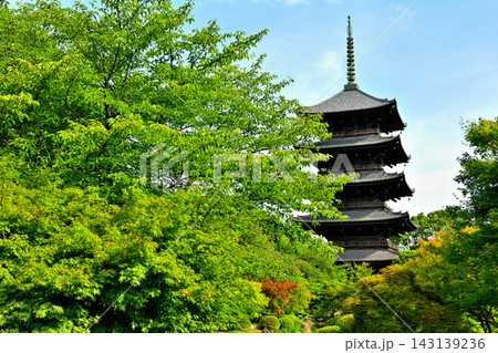 京都・東寺 京都・東寺 143139236