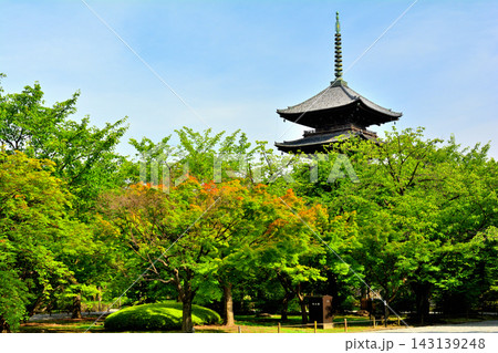 京都・東寺 京都・東寺 143139248