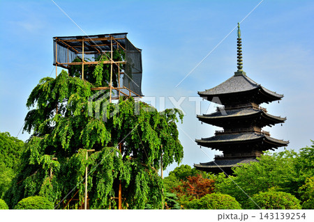 京都・東寺 京都・東寺 143139254