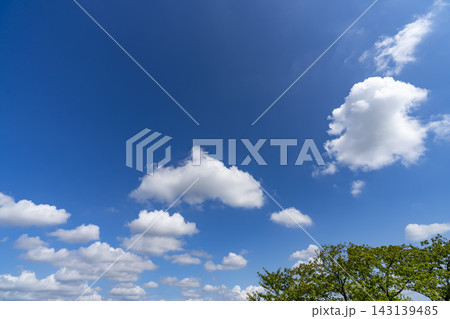 夏の青空と雲と樹木 143139485