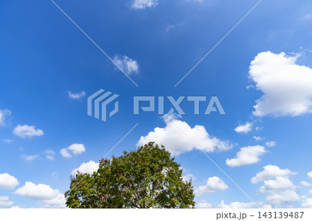 夏の青空と雲と樹木 夏の青空と雲と樹木 143139487
