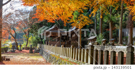 丹波篠山 篠山城跡 青山神社の美しい紅葉と社殿※作品コメント欄に撮影位置 143139501