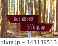 兵庫県丹波篠山市の弥十郎ヶ岳登山道にある木製の案内標識と美しい杉林の木漏れ※作品コメント欄に撮影位置 143139513
