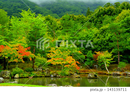 京都・天龍寺 京都・天龍寺 143139711