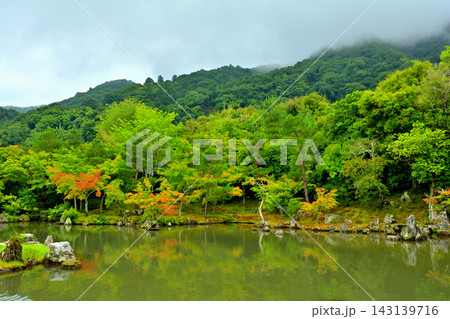 京都・天龍寺 京都・天龍寺 143139716