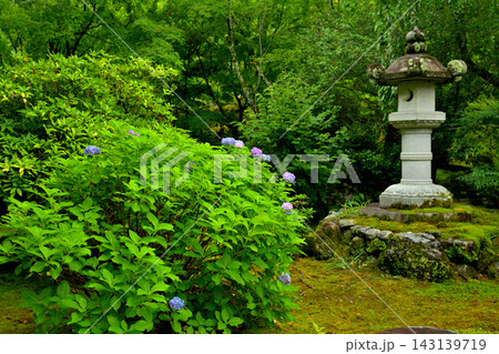 京都・天龍寺 京都・天龍寺 143139719
