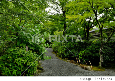 京都・天龍寺 京都・天龍寺 143139723