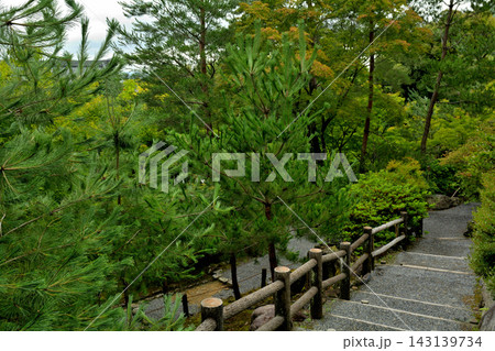 京都・天龍寺 京都・天龍寺 143139734