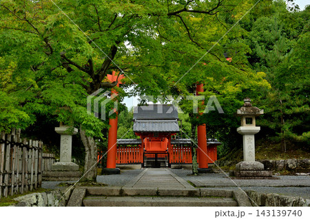 京都・天龍寺 143139740
