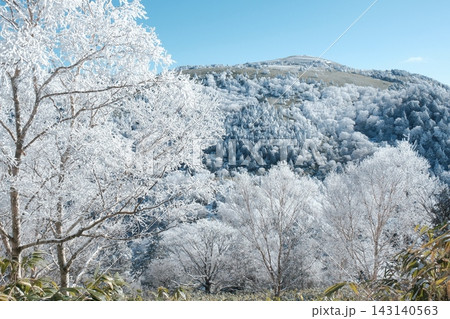 繊細な霧氷の枝越しに望む白銀の山肌と青空が広がる冬の山岳風景 繊細な霧氷の枝越しに望む白銀の山肌と青空が広がる冬の山岳風景 143140563