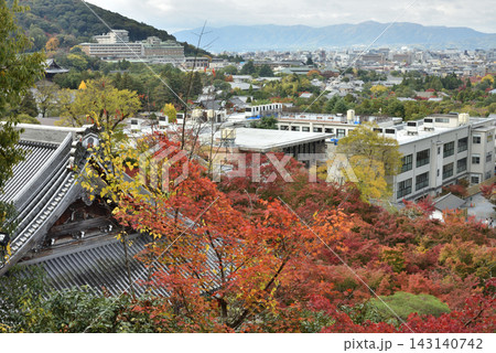 永観堂禅林寺 多宝塔から眺める御影堂とモミジ(京都市左京区) 永観堂禅林寺 多宝塔から眺める御影堂とモミジ(京都市左京区) 143140742