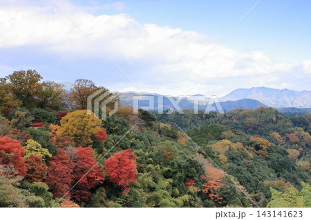 秋の岡城跡からの眺め 秋の岡城跡からの眺め 143141623