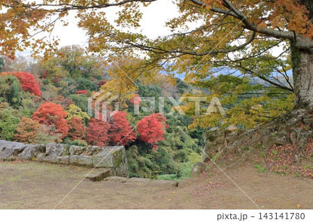 城跡の秋 城跡の秋 143141780