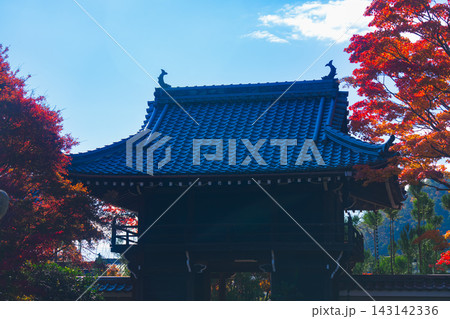 京都のお寺での紅葉の写真 京都のお寺での紅葉の写真 143142336