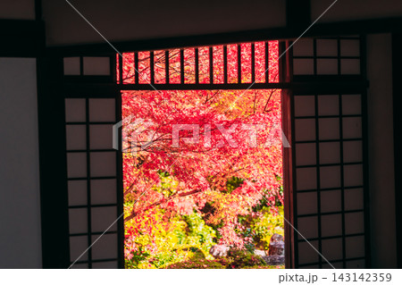 京都のお寺での紅葉の写真 京都のお寺での紅葉の写真 143142359