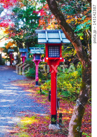 京都のお寺での紅葉の写真 京都のお寺での紅葉の写真 143142387