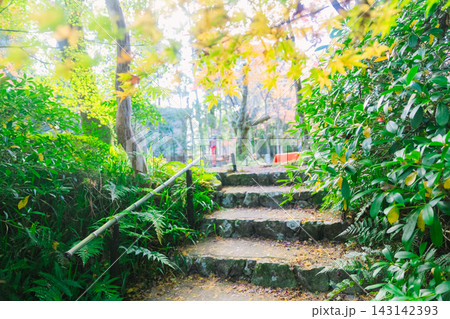 京都のお寺での紅葉の写真 京都のお寺での紅葉の写真 143142393