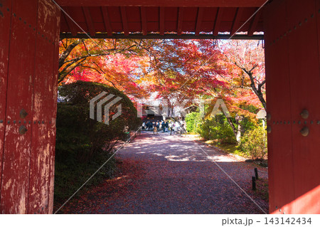 京都のお寺での紅葉の写真 京都のお寺での紅葉の写真 143142434