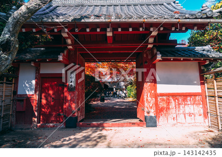 京都のお寺での紅葉の写真 143142435