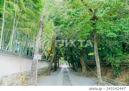 京都のお寺での紅葉の写真 京都のお寺での紅葉の写真 143142447