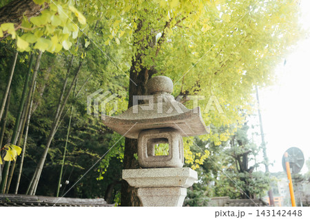 京都のお寺での紅葉の写真 京都のお寺での紅葉の写真 143142448