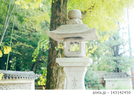 京都のお寺での紅葉の写真 京都のお寺での紅葉の写真 143142450