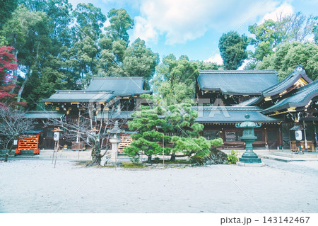 京都のお寺での紅葉の写真 京都のお寺での紅葉の写真 143142467