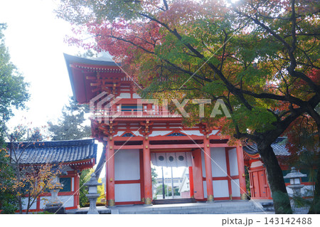 京都のお寺での紅葉の写真 京都のお寺での紅葉の写真 143142488