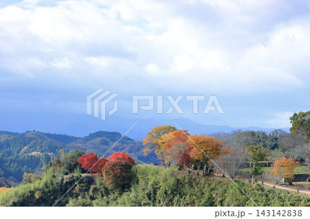 岡城跡の紅葉 岡城跡の紅葉 143142838