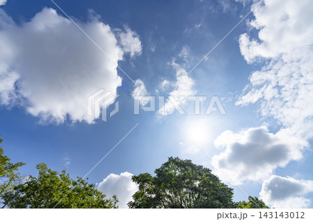 夏の青空と雲と樹木 143143012