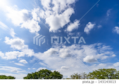夏の青空と雲と樹木 143143013