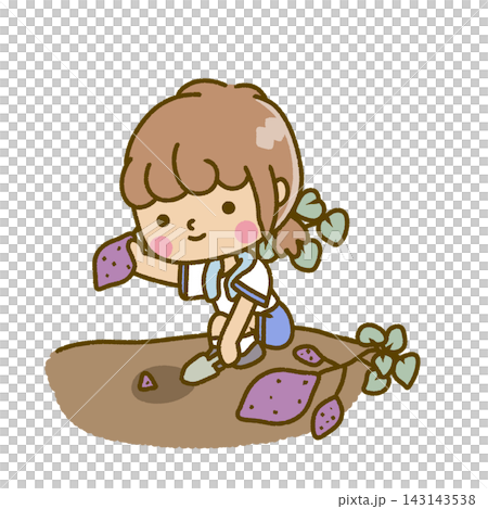 Children (wearing gym clothes) digging up sweet potatoes. Children (wearing gym clothes) digging up sweet potatoes. 143143538