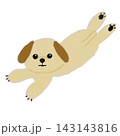 伸びている犬のイラスト 143143816