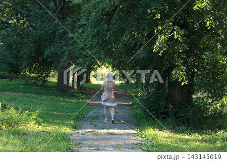 Blonde Woman in Light Summer Dress and Bag Walking Down Sun-Dappled Park Alley, Seen From Behind 143145019