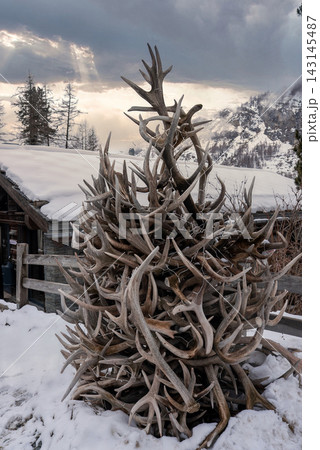 Antler tree sculpture by cabin in winter Zermatt, Switzerland 143145487