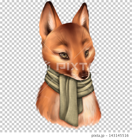 Cute fox in scarf Cute fox in scarf 143145516