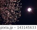 街頭と照らされる夜桜 143145633