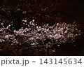 街頭の光を受けて暗闇に浮かぶ桜の花 143145634