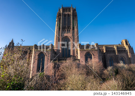 Low angle view of Liverpool Cathedral in Liverpool, England. Sandstone tower, pointed arches, lancet windows, and tracery rise above bare trees under crisp daylight. Low angle view of Liverpool Cathedral in Liverpool, England. Sandstone tower, pointed arches, lancet windows, and tracery rise above bare trees under crisp daylight. 143146945