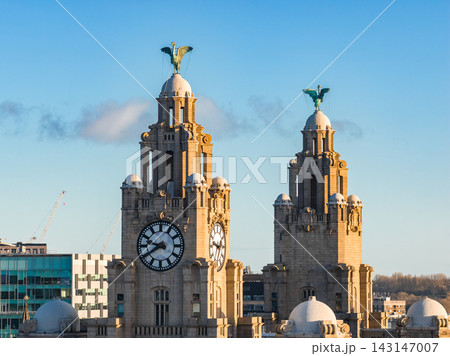 Ground level view of the Royal Liver Building in Liverpool shows twin clock towers and green Liver Birds at sunrise, golden light on limestone, clear sky, offices and cranes. 143147007